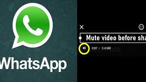 WHATSAPP-AUDIO-MUTE-OPTION-SHARING-VIDEO