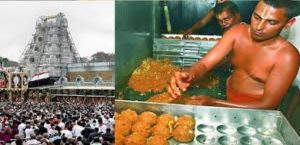 TIRUPATI-TEMPLE-PURIFIED-AMID-GHEE-ISSUE