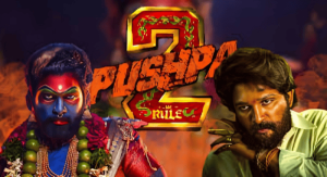 PUSHPA-2-DOMINATES-HINDI-BOX-OFFICE-STANDS-TOP-1